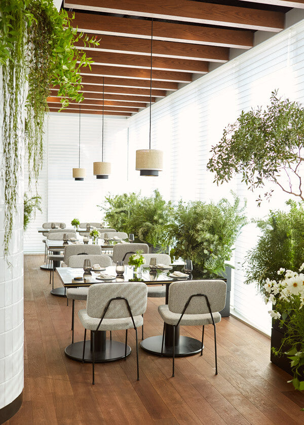 Elle Café
