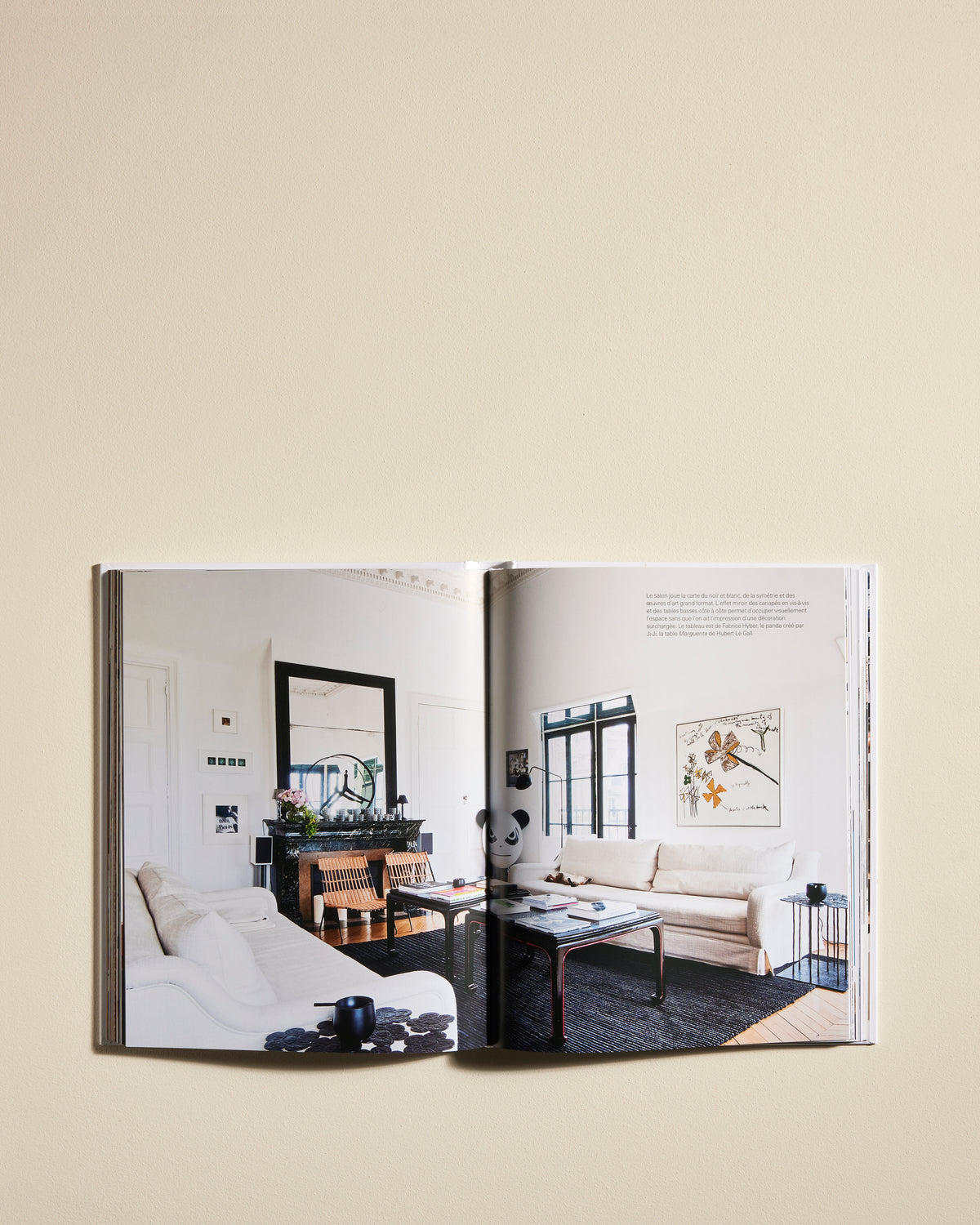 Livre Architecture Intérieure moderne Maison Sarah Lavoine     3